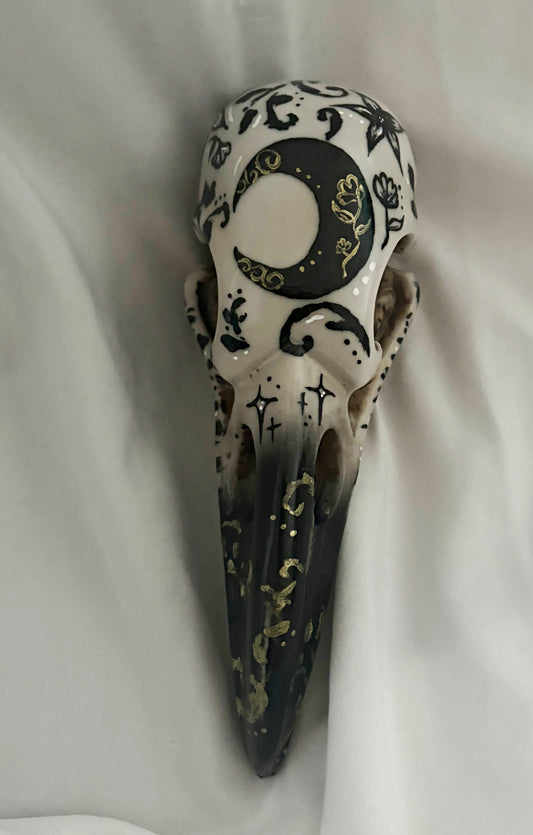 Hand Painted Raven Skull