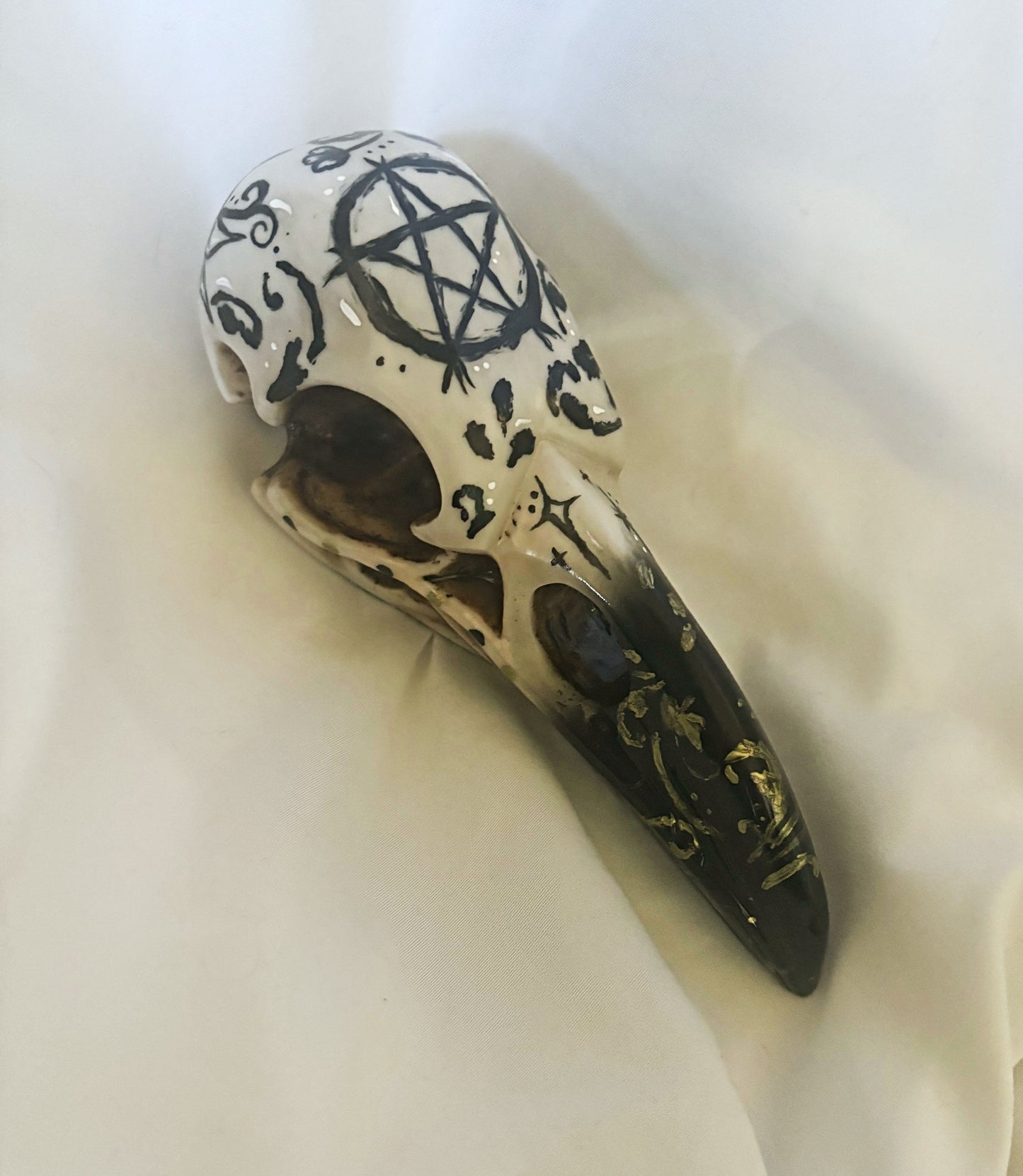 Hand Painted Raven Skull ft. Pentacle