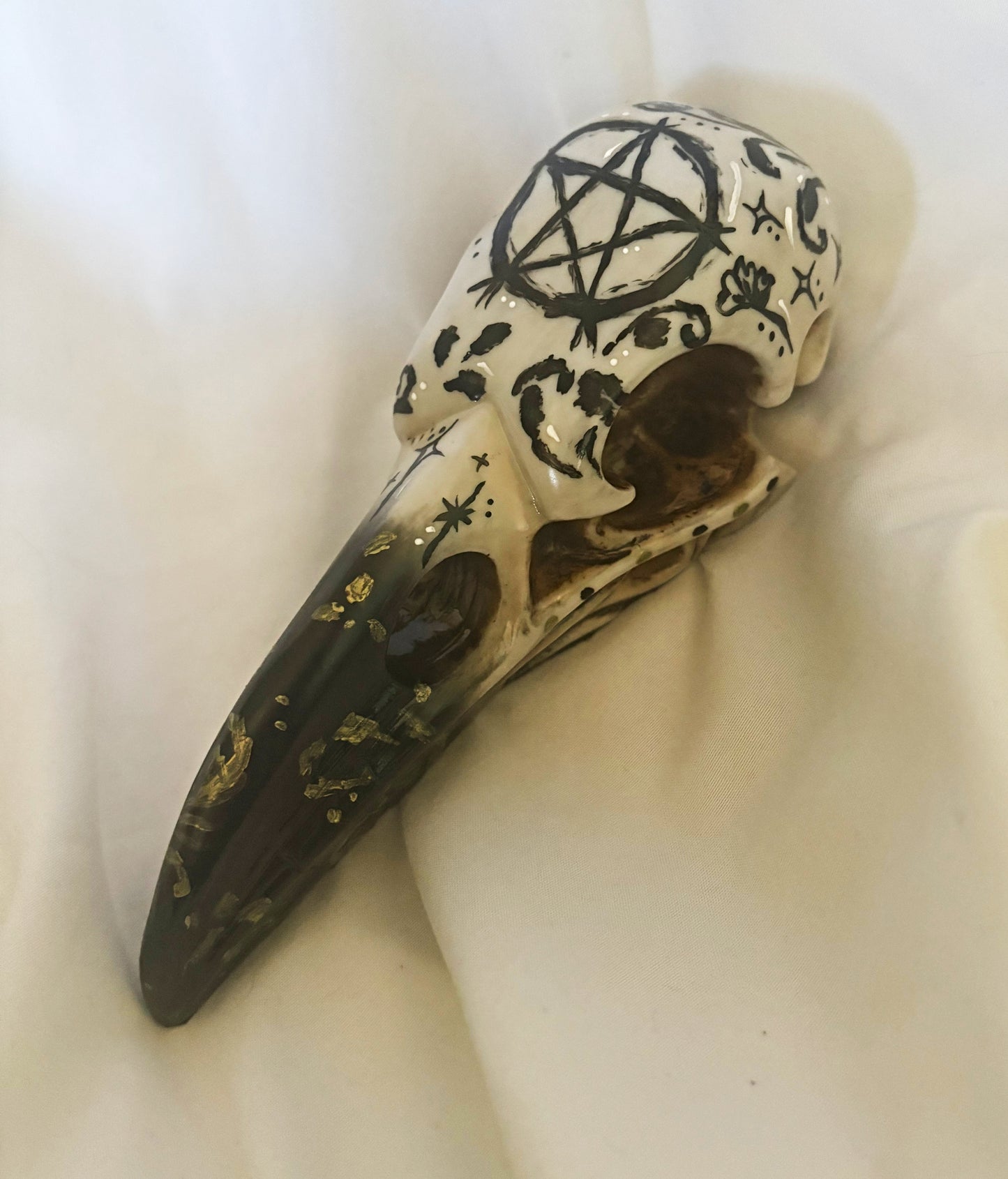 Hand Painted Raven Skull ft. Pentacle