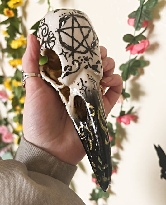 Hand Painted Raven Skull featuring Pentacle and Wildflowers